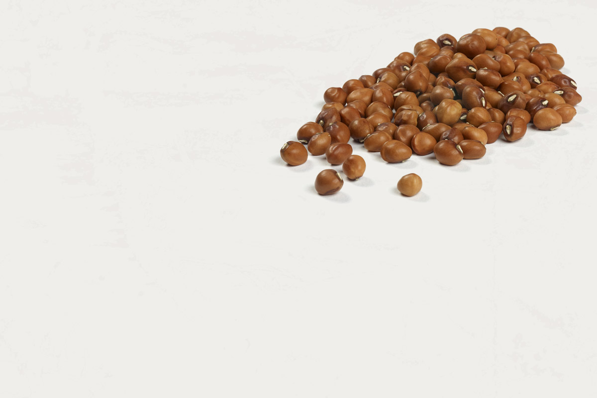 What Are Crowder Peas? Camellia Brand