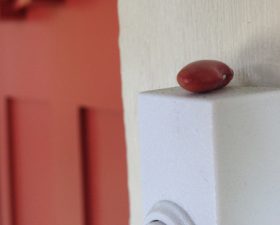 a single red bean on a door bell