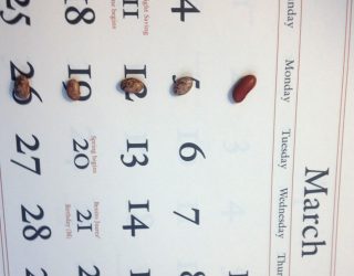 a calendar of march showing red beans on top of every monday of the month