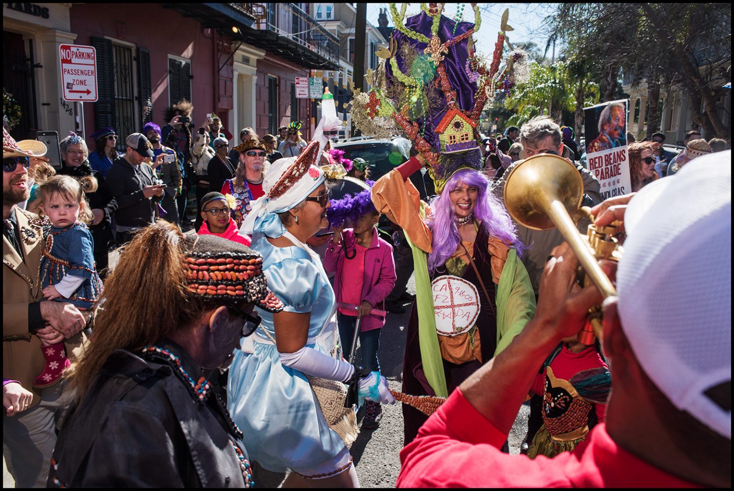 A ThreeBean Lundi Gras with LegumeLoving Marching Clubs Camellia Brand