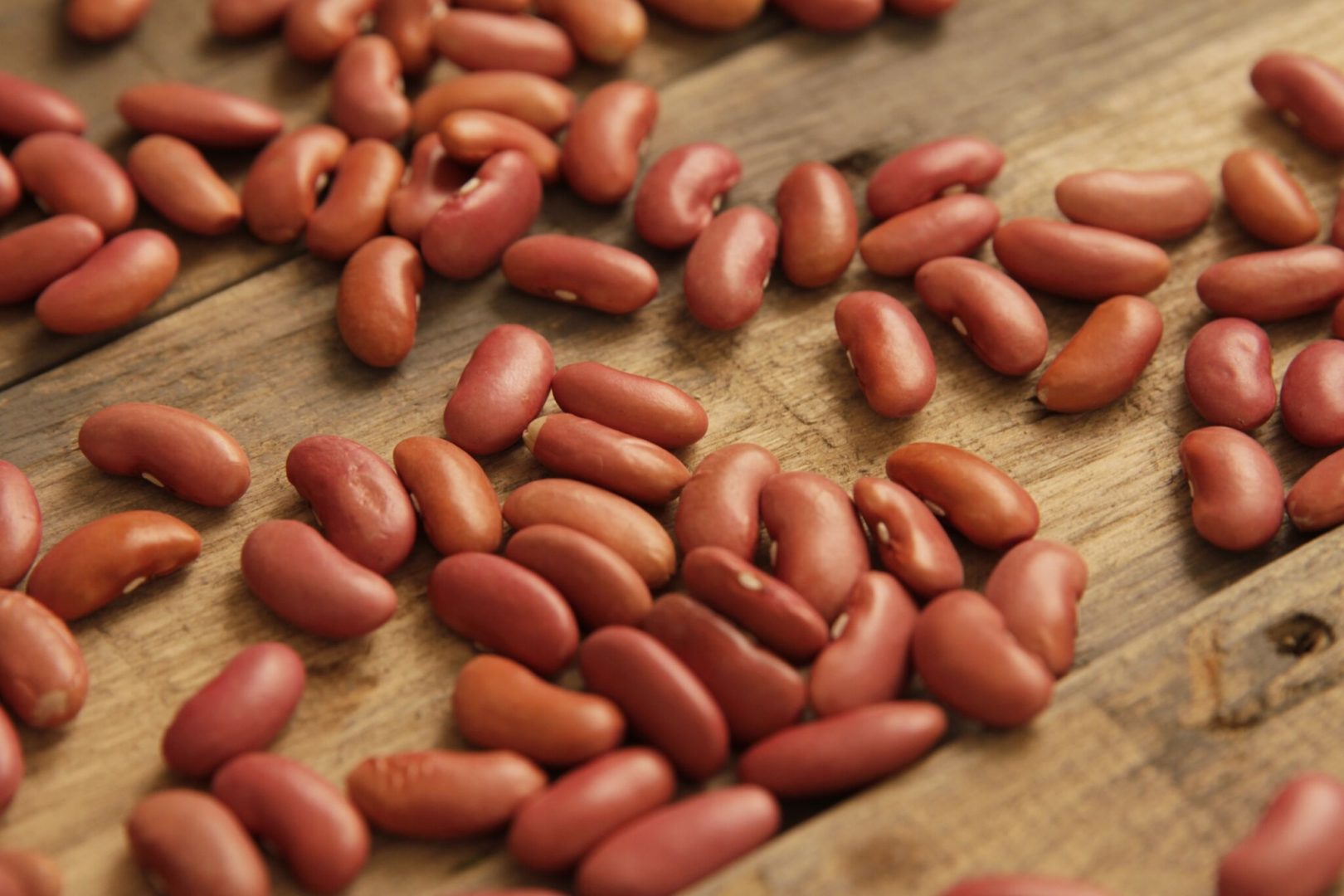 Why Add Dried Beans to Your Diet? Camellia Brand