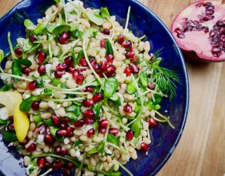 a bowl of bedazzled lady cream peas