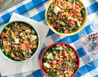 3 bowls Zippy Lentil Salad on a table