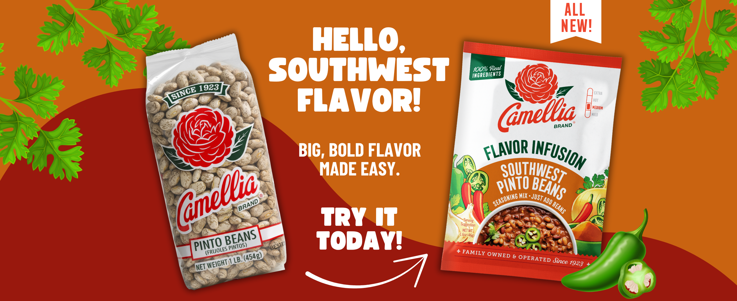 A Camellia pinto beans bag and a Southwest Pinto Beans pack on a vibrant background with cilantro and jalapeño images. Text: "Hello, Southwest Flavor! Try it today!"